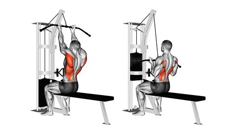 Reverse Grip Lat Pulldown: How to Do & Muscles Worked