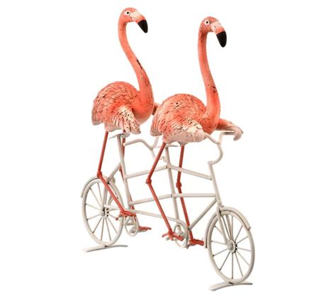 Two Flamingos Riding On The Back Of A Bicycle