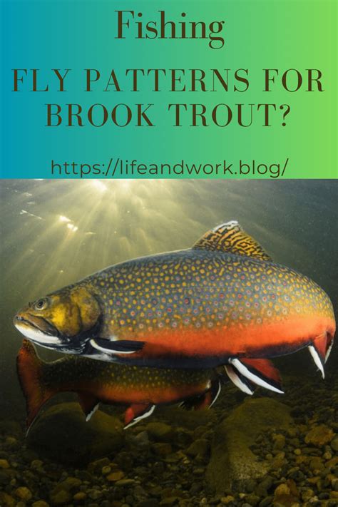 Fly Patterns For Brook Trout