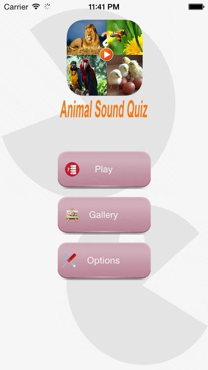 Animal Sound Quiz by Manh Linh Nguyen