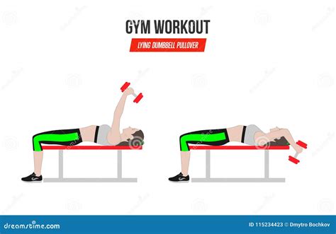 Lying Dumbbell Pullover. Sport Exercises. Exercises in a Gym ...