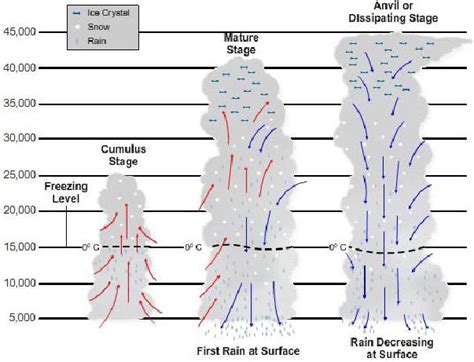 Figure 1-11 -- Thunderstorm stages.