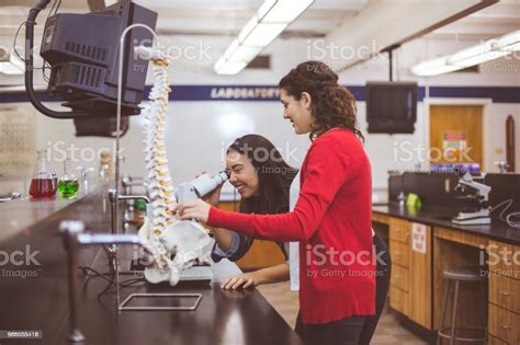 2 고등학교 여자 과학 실험실에서 작동 2명에 대한 스톡 사진 및 기타 이미지 2명 Stem 주제 개념 Istock