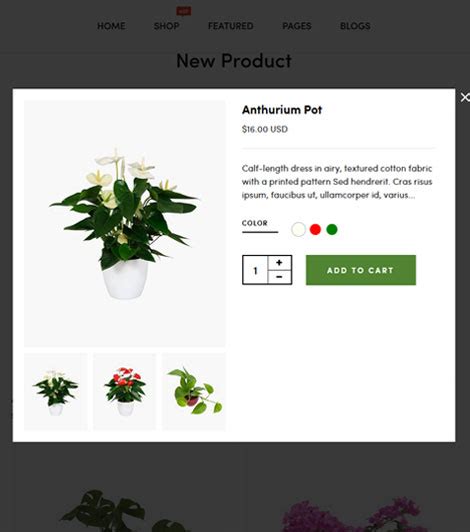 Plantan Gardening Houseplants Shopify Theme