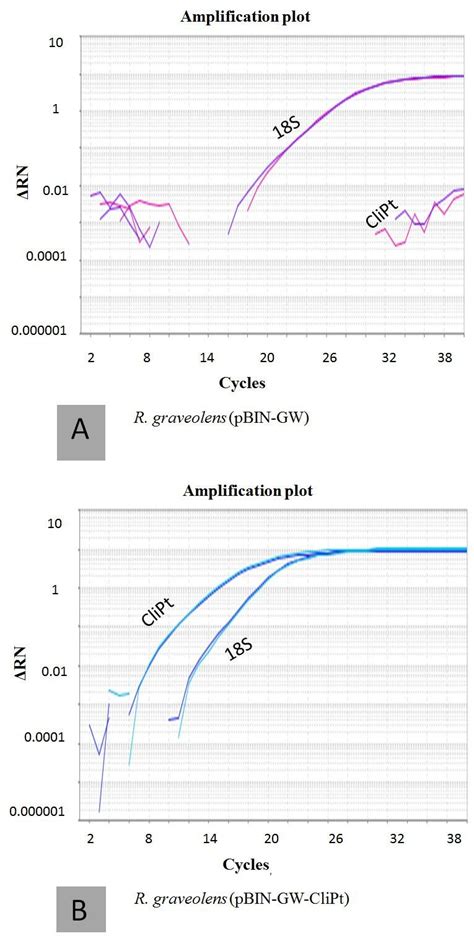 Results of real time PCR Results observed for the expression pattern of... | Download Scientific ...