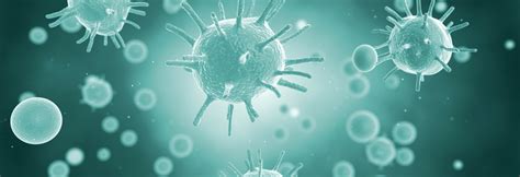 MRSA Pneumonia Deaths After Flu Blamed on Immune Cells