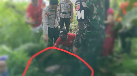 Warga Kolaka Digegerkan Penemuan Jazad Bayi Tanpa Busana Di Semak Semak