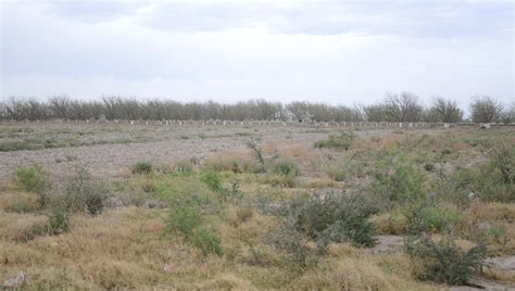 En sequía severa o moderada el 97 7 del territorio del estado de