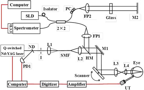 Schematic Of Laser Scanning Photoacoustic Microscopy System Nd