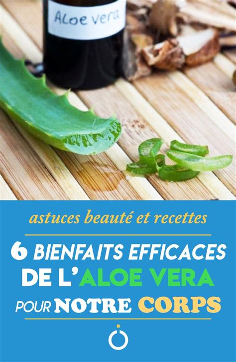 ALOE VERA 6 BIENFAITS ET RECETTES POUR LA PEAU LES CHEVEUX LES