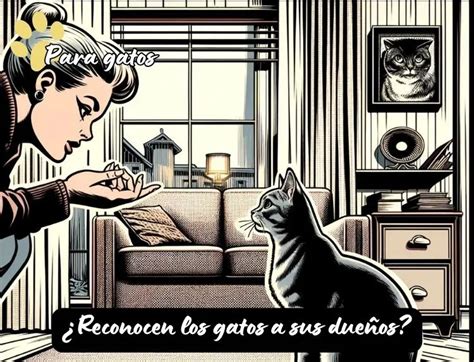 ¿cómo Reconocen Los Gatos A Sus Dueños ¿y Otras Personas