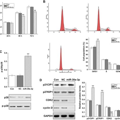 The Differential Expression Of Mir 30a 3p And Dnmt3a In Lung Cancer