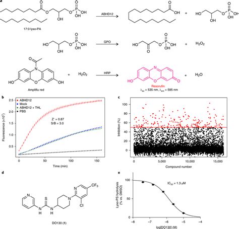 Development Of A High Throughput Screening Hts Assay For Abhd12 Download Scientific Diagram