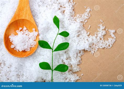 Sea Salt Health Seasoning Bay Salt Solar Salt Saltiness Stock