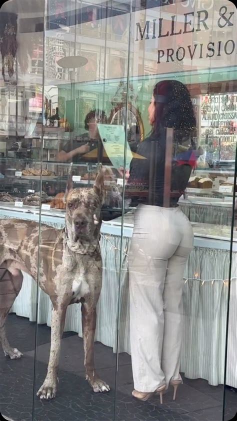 Piêtra Luccas | hey :)) @victoriassecret 📸 @amirphoria | Instagram