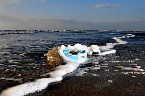 La Plastica Arrivata Sui Fondali Della Fosse Delle Marianne Lifegate