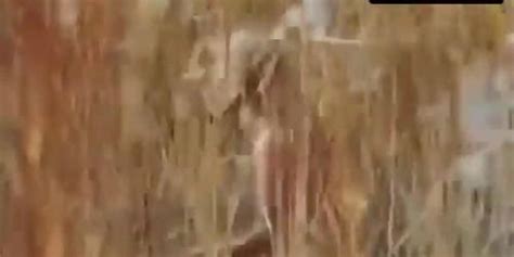 Barbara Scott Breasts Scene In The Naked Wytche Barbro Klingered Tnaflix