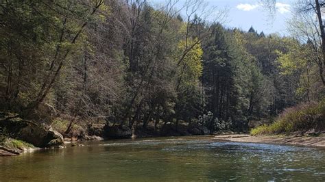 PA Trout Fishing My Favorite Local Stream YouTube