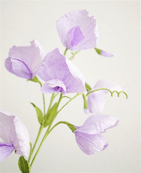 Sweet Pea Vine Handmade Crepe Paper Flowers Etsy Canada