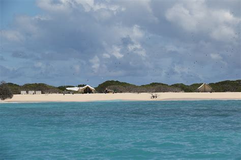 Field Biologists Return from the Northwestern Hawaiian Islands | NOAA Fisheries