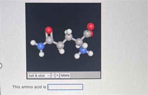 Solved This amino acid is | Chegg.com 