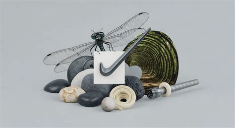 Sub-National Governance → Term