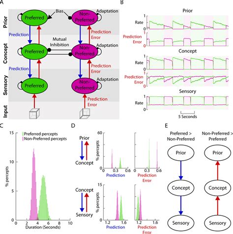 A Computational Model Incorporating Hierarchical Predictive Coding And Download Scientific