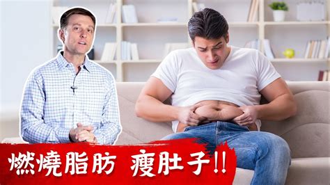 快速瘦肚子燃燒腹部脂肪瘦肚子3方法柏格醫生dr Berg Youtube