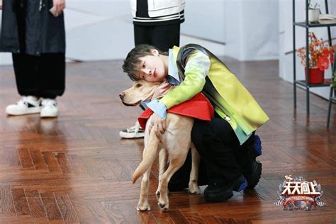 《天天向上》“打工犬”专场引爆泪点，王一博体验训犬员工作狗导盲犬犬新浪新闻