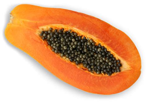 Maradol Papaya | Super Starr International