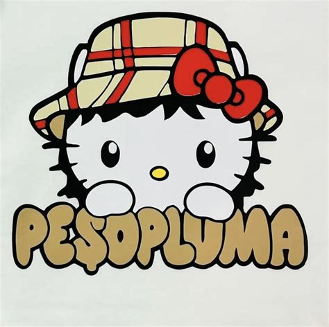 Pin by Corina Moreno on peso pluma | Hello kitty drawing, Mini canvas ...