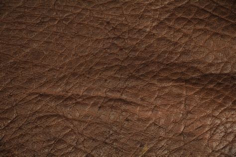 leather texture close up soft brown materal wallpaper wrinkled - Texture X