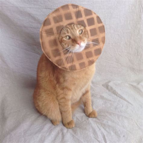 Waffle Costume for Cats