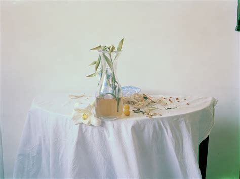 Laura Letinsky. Still Life Photographs (1997-2012) | Wall Street ...