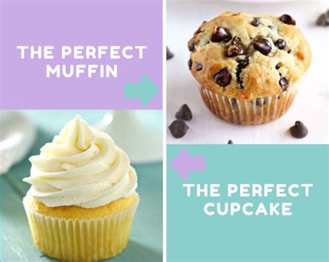 Muffin Recipes Tips For Baking Perfect Muffins The Busy Baker