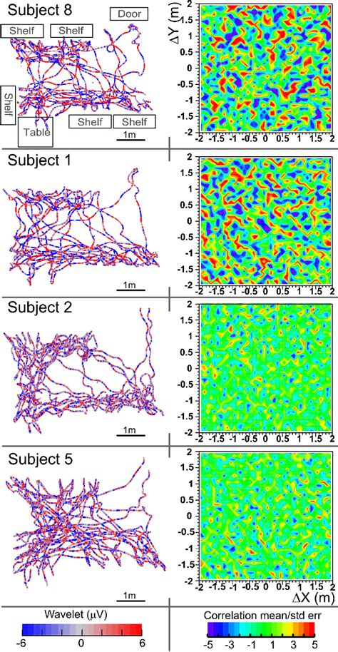 Figure 4 From Human Cortical During Free Exploration Encodes Space And