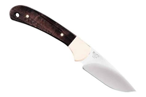 Best Knife for Field Dressing Deer in 2022 [Our Reviews & Comparisons]