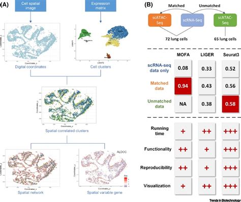 Integrative Methods And Practical Challenges For Single Cell Multi Omics Trends In Biotechnology