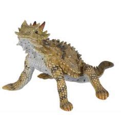 Images About Horny Toad Horned Lizard On Pinterest Horned Lizard Lizards And Texas