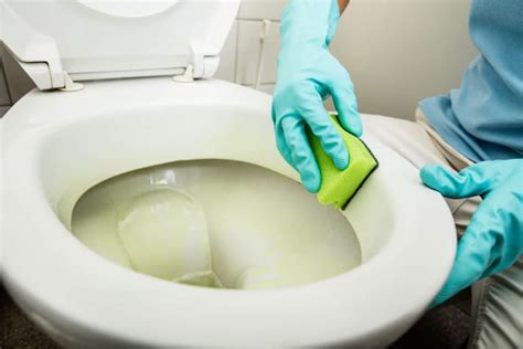 How To Clean Mineral Stains From Your Toilet Howstuffworks 43 Off