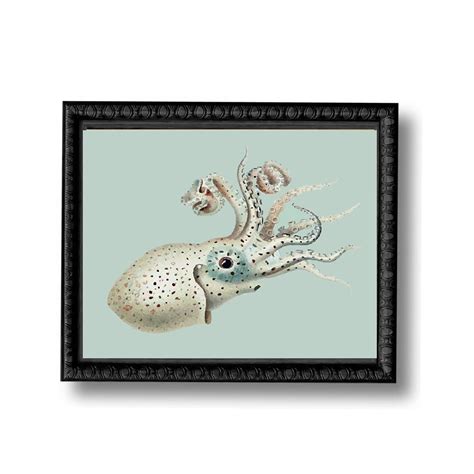 Baby Octopus Nautical Vintage Style Print Beach House Decor Blue Gray