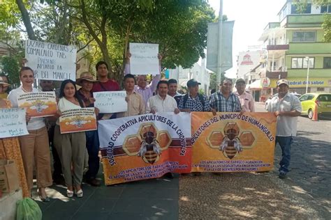 Productores demandan Ley Apícola en Tabasco para prohibir uso de