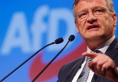 Meuthen Und Gauland Führen Künftig Die Afd Nzz