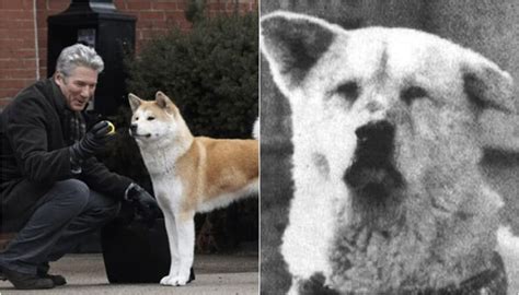 Estátua Do Cachorro Do Filme Sempre Ao Seu Lado