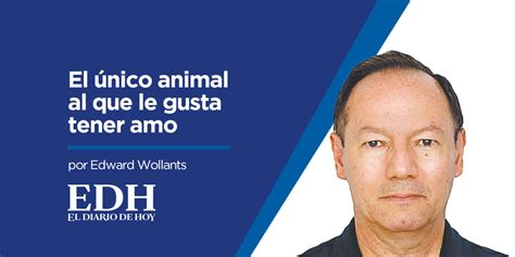 El Diario de Hoy on Twitter OPINIÓN Edward Wollants Inicia la