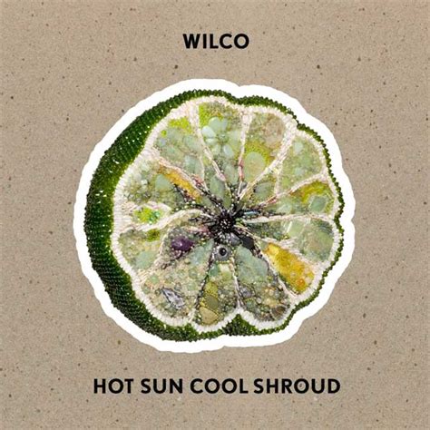 Wilco Hot Sun Cool Shroud La Portada Del Disco