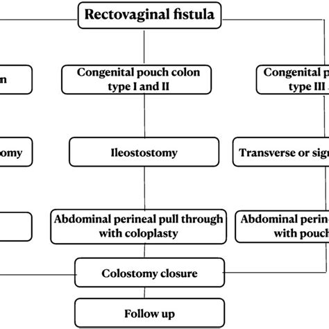 Management Algorithm Of The Patients Of Rectovaginal Fistula Download