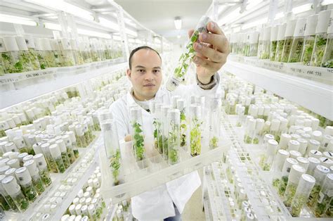 Seed Banks Importance For The World The Borgen Project