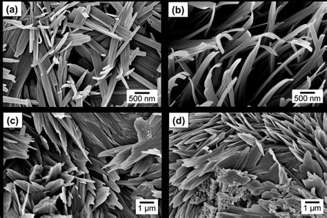 Sem Images Of Nanostructures Obtained Using A And B