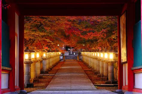 【日本の絶景クイズ】お寺の参道に現れる紅葉のトンネルが見られるのはどの都道府県？ All About ニュース